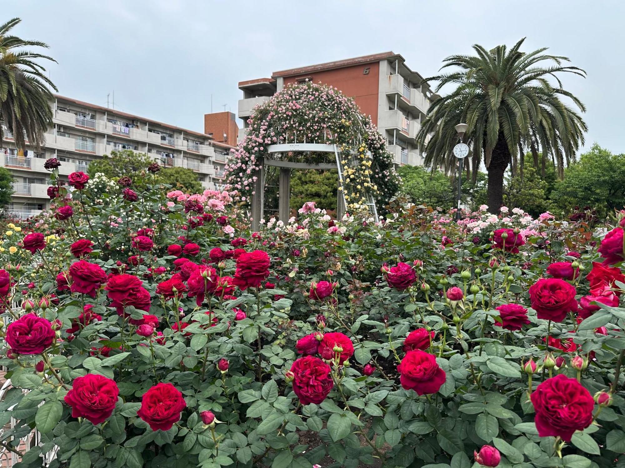 Vivian House Apartamento *